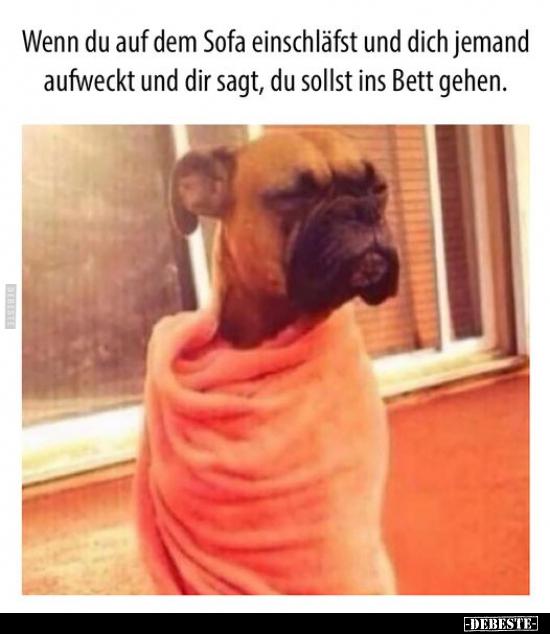 Wenn du auf dem Sofa einschläfst und dich jemand aufweckt.. - Lustige Bilder | DEBESTE.de