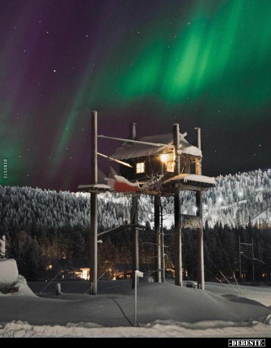  - Lustige Bilder | DEBESTE.de