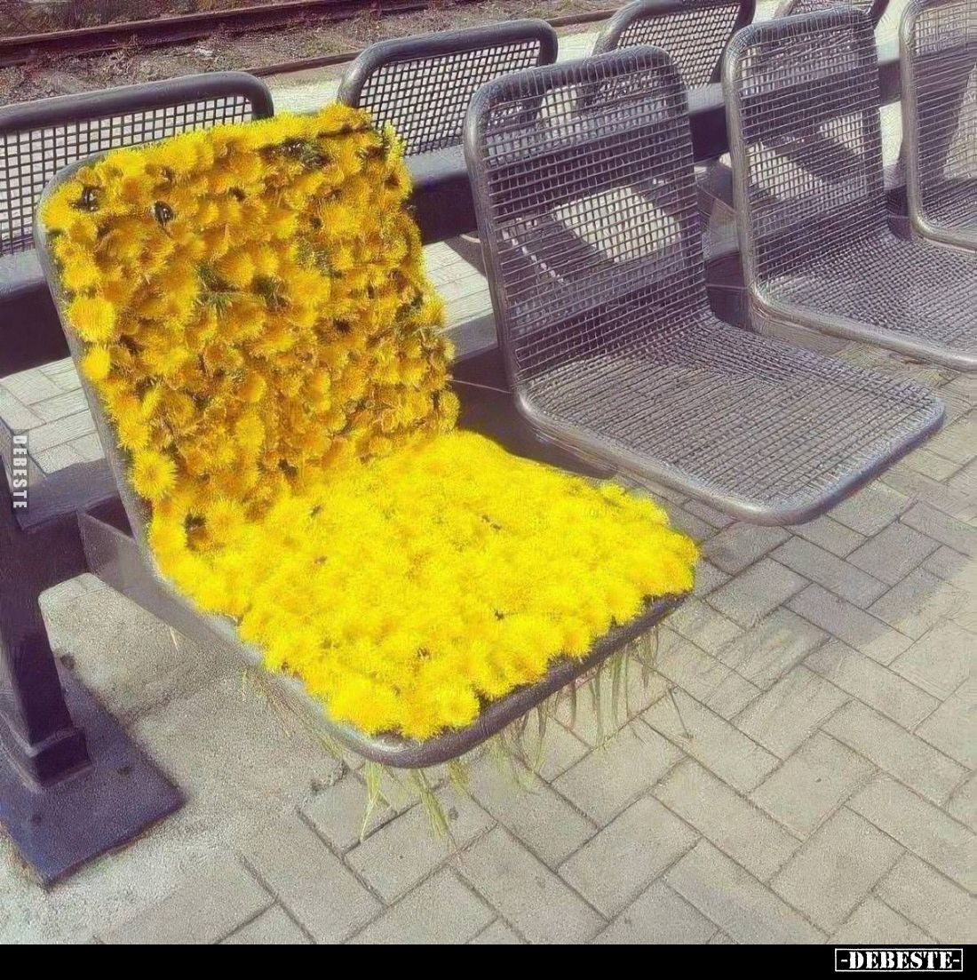  - Lustige Bilder | DEBESTE.de