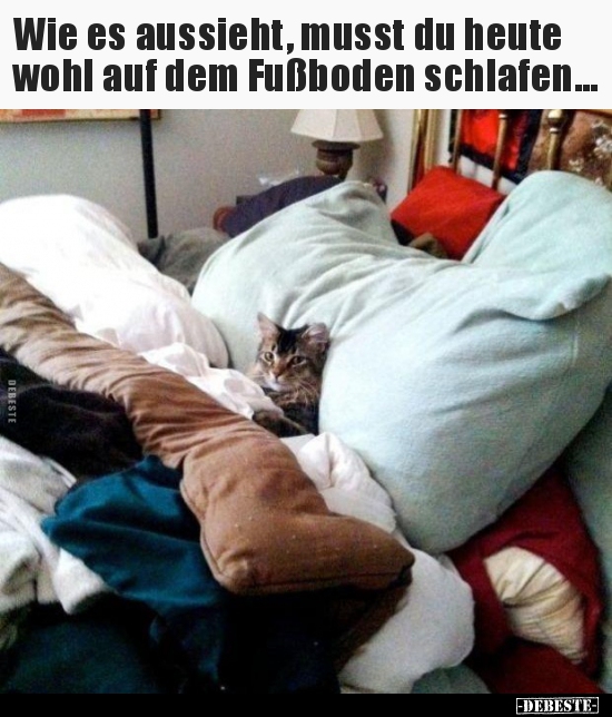 Wie es aussieht, musst du heute wohl auf dem Fußboden..