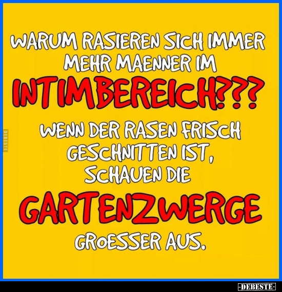 Rasieren, Männer, Wenn, Gartenzwerge