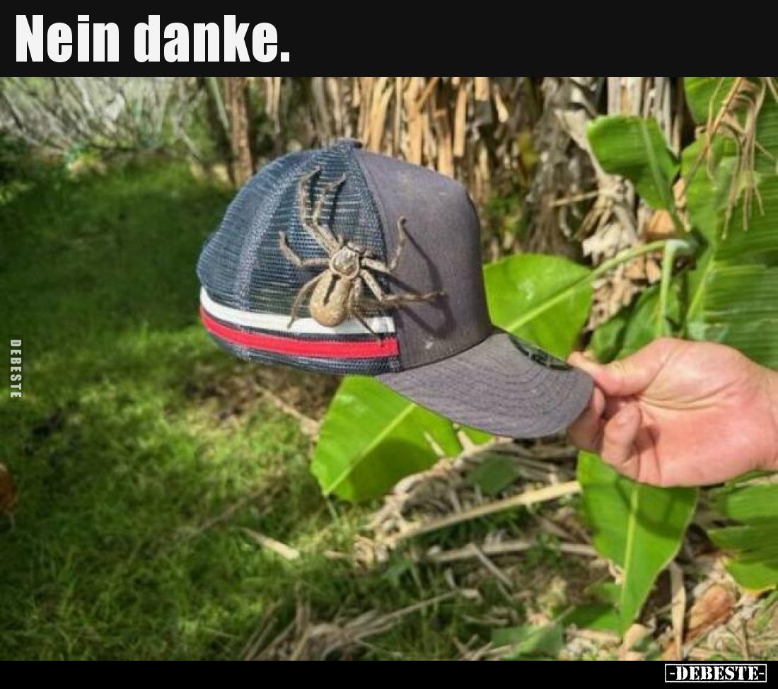 Nein danke...