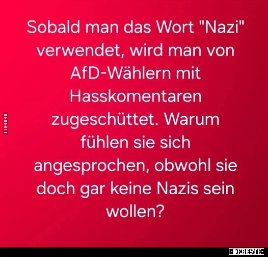 Sobald man das Wort "Nazi" verwendet, wird man von AfD-Wählern mit Hasskomentaren zugeschüttet.
Warum fühlen sie s...