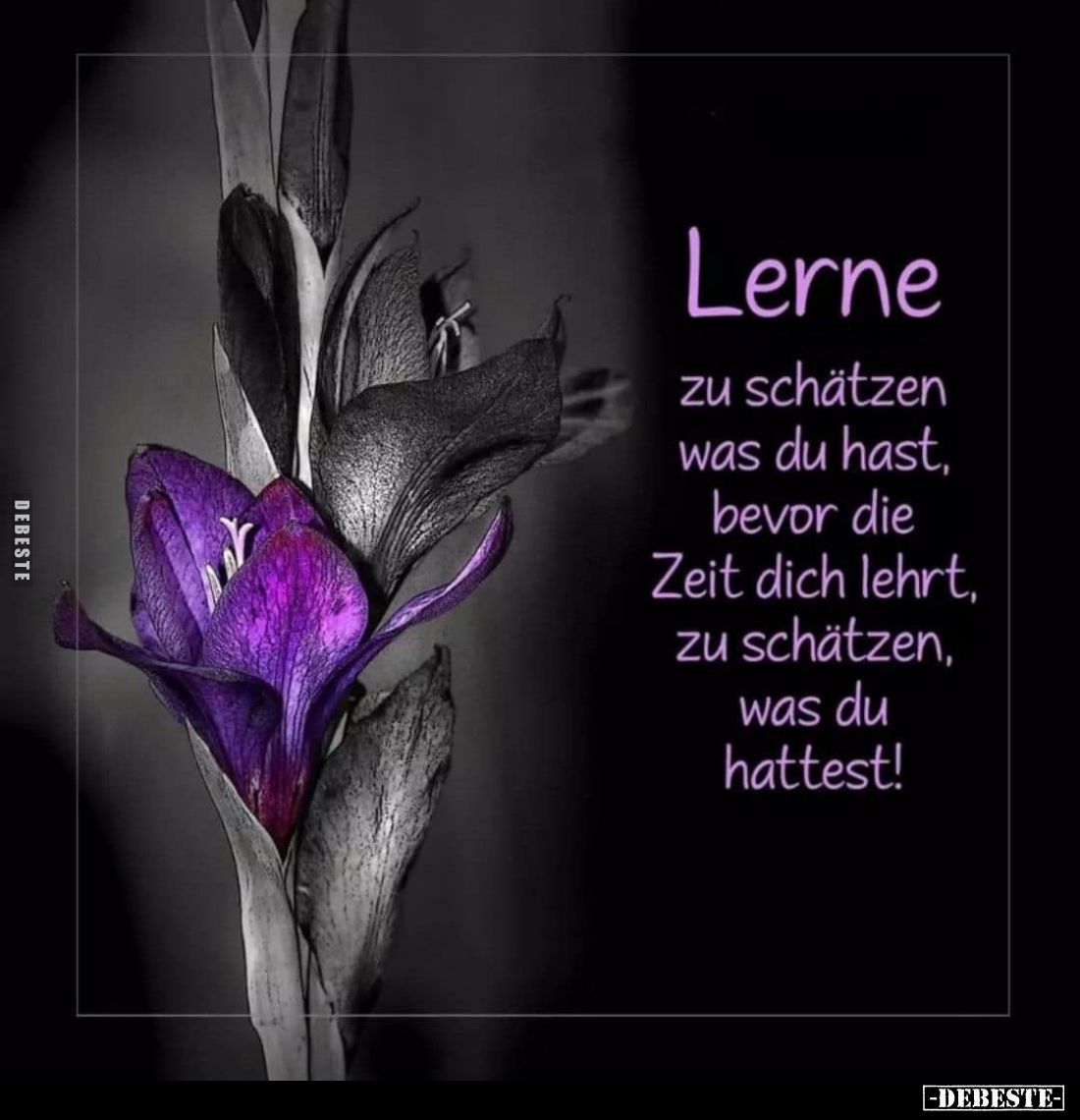 Lerne zu schätzen was du hast, bevor die Zeit dich lehrt, zu schätzen, was du hattest!