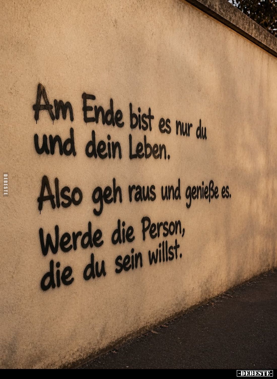 Am Ende bist es nur du und dein Leben.
Also geh raus und genieße es.
Werde die Person, die du sein willst.