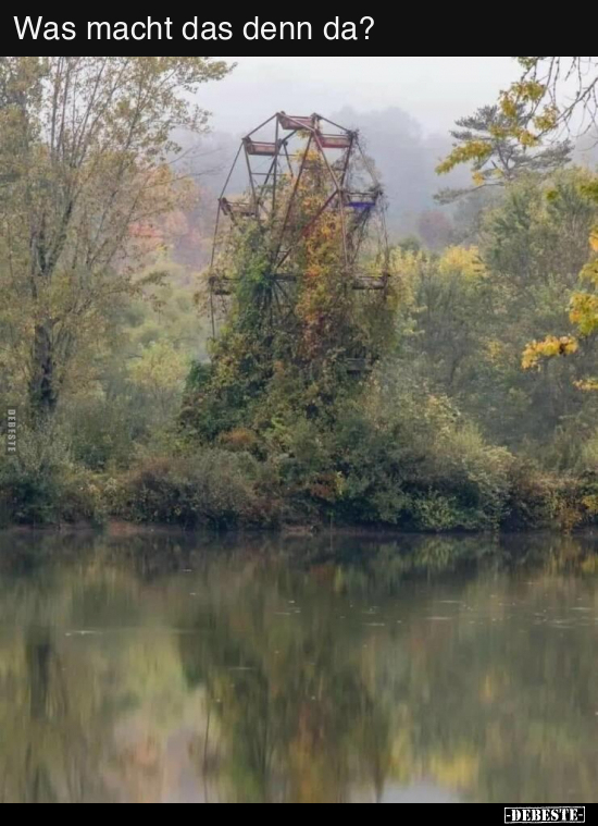 Was macht das denn da?..