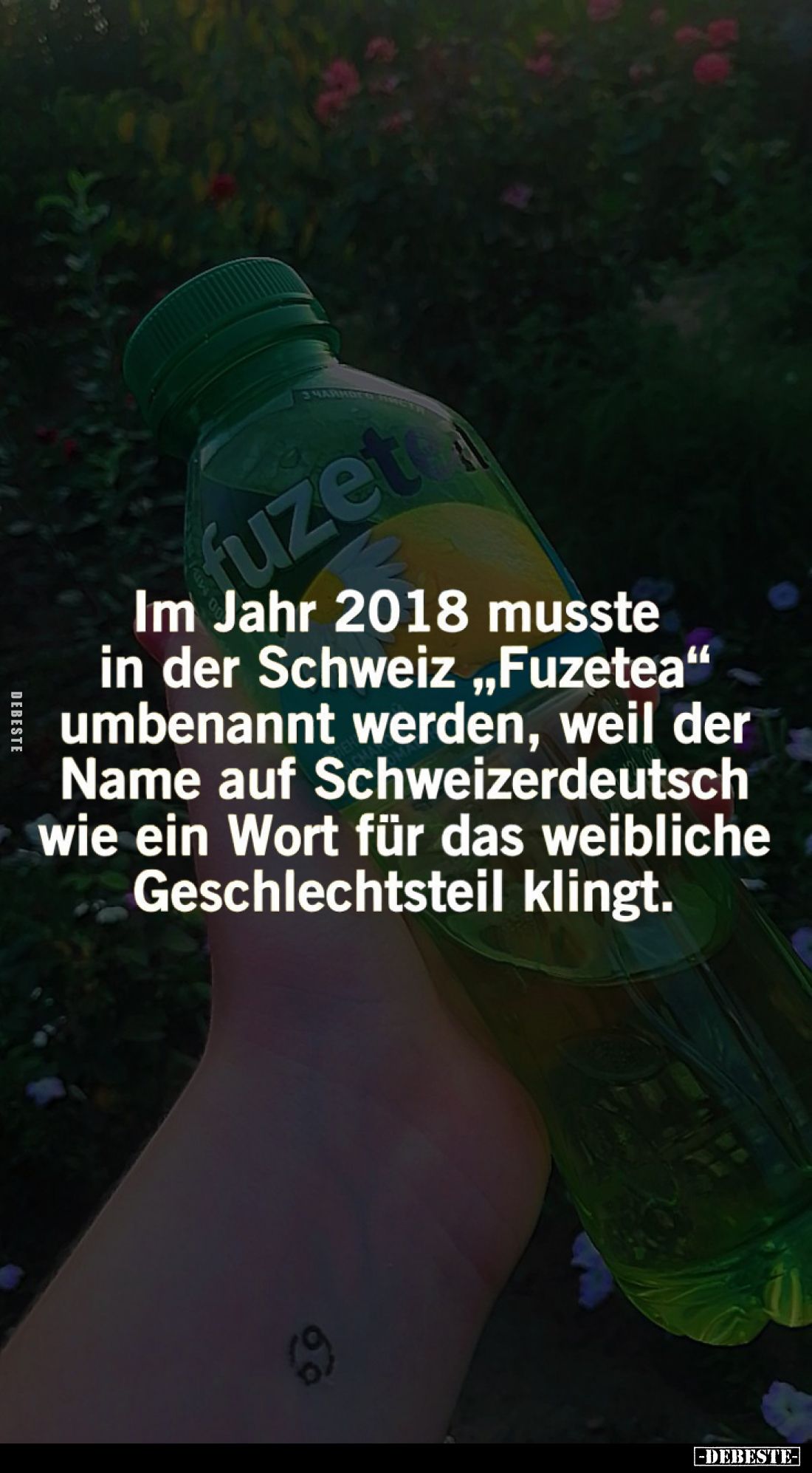 Im Jahr 2018 musste in der Schweiz "Fuzetea" umbenannt werden, weil der Name auf Schweizerdeutsch wie ein Wort für ...