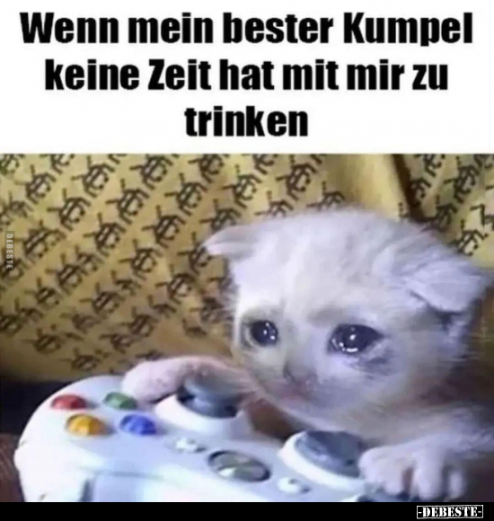 Wenn mein bester Kumpel keine Zeit hat mit mir.. - Lustige Bilder | DEBESTE.de