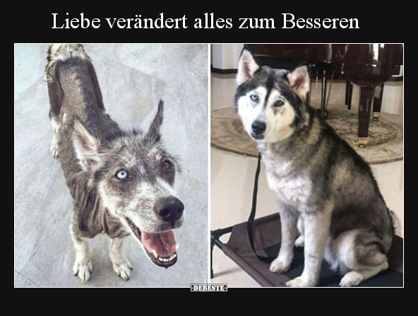 Liebe verändert alles zum Besseren.. - Lustige Bilder | DEBESTE.de