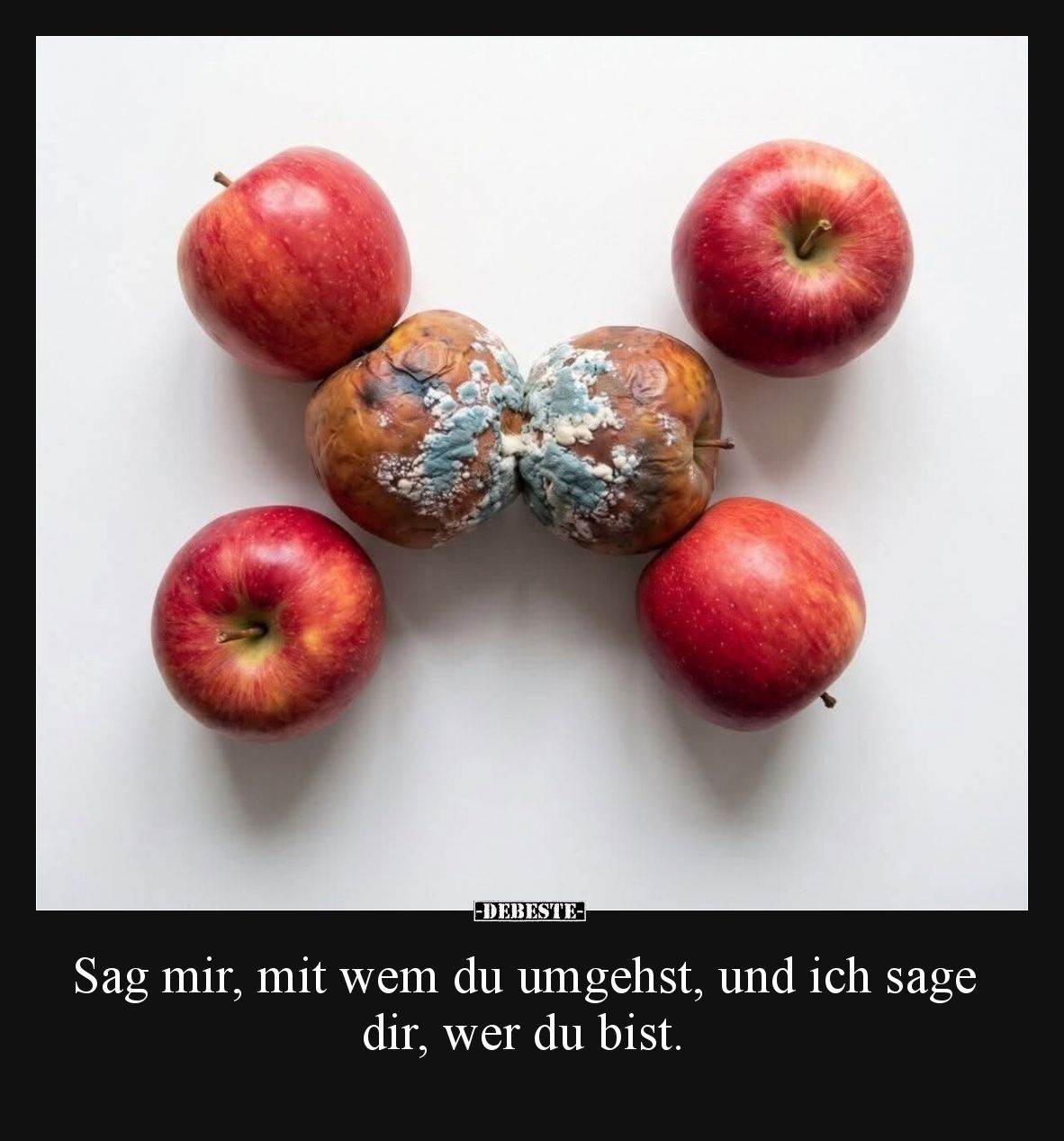 Sag mir, mit wem du umgehst, und ich sage dir, wer du bist.