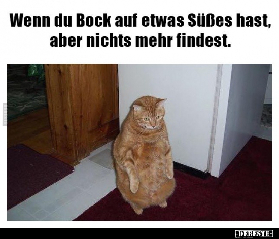 Wenn du Bock auf etwas Süßes hast, aber nichts mehr..