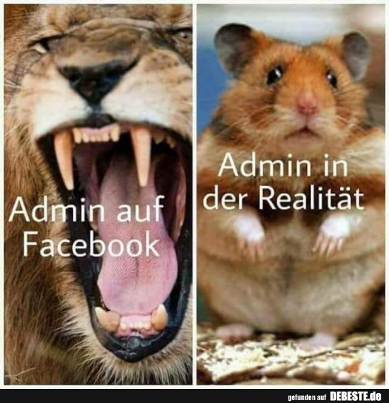Admin auf Facebook / Admin in der Realität. - Lustige Bilder | DEBESTE.de