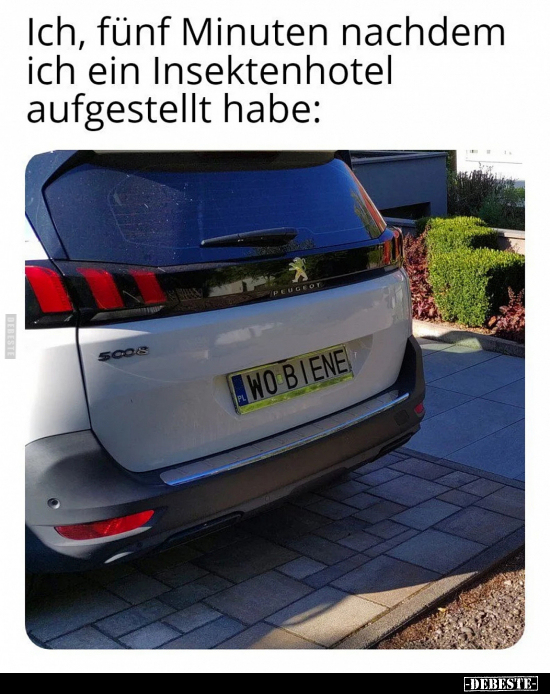 Ich, fünf Minuten nachdem ich ein Insektenhotel aufgestellt.. - Lustige Bilder | DEBESTE.de