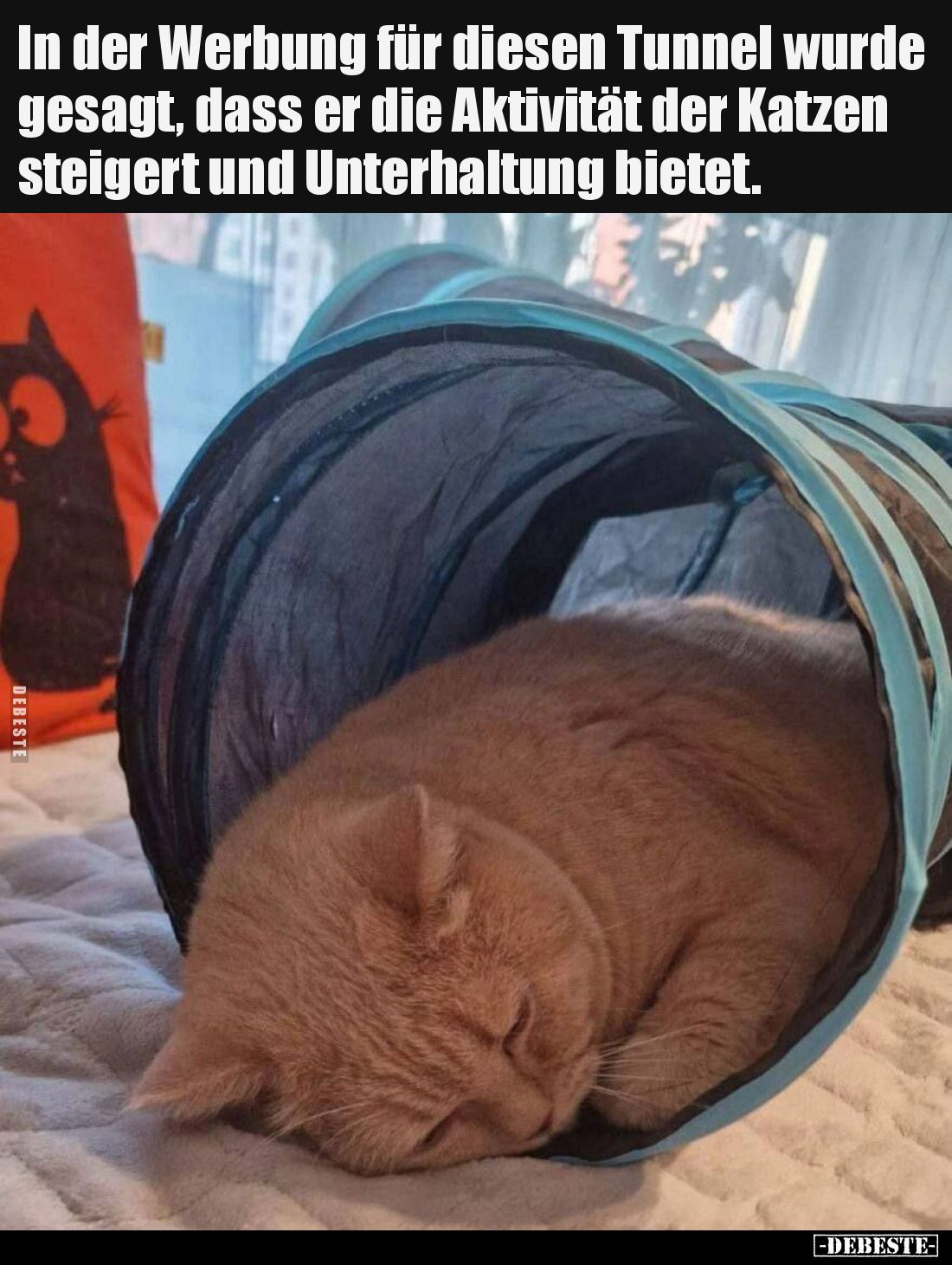 In der Werbung für diesen Tunnel wurde gesagt, dass er die Aktivität der Katzen steigert und Unterhaltung bietet.