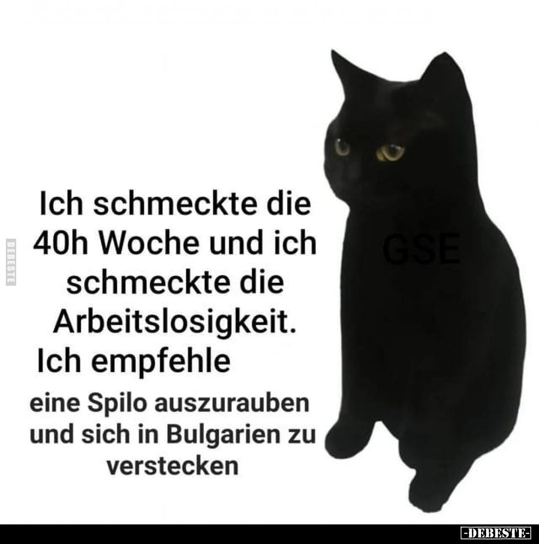  - Lustige Bilder | DEBESTE.de