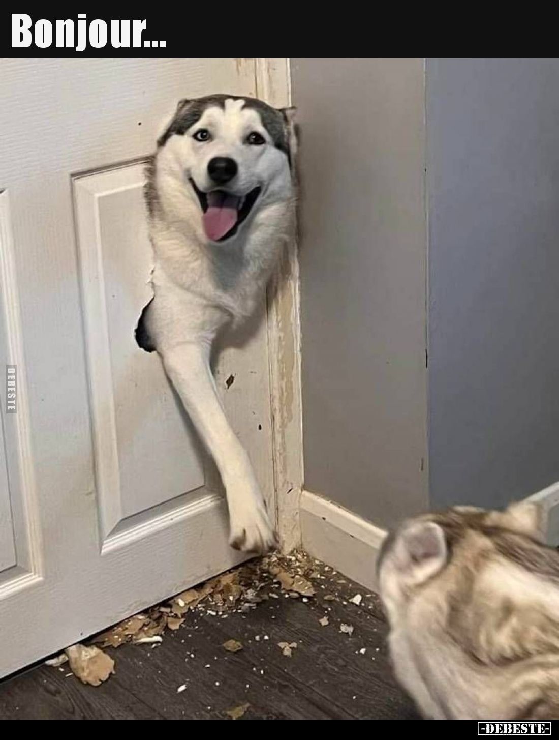 Bonjour...
