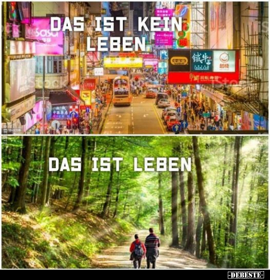 Das ist kein Leben
-
Das ist Leben