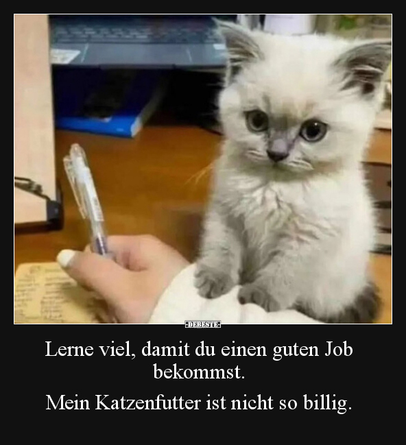 Lerne viel, damit du einen guten Job bekommst.. - Lustige Bilder | DEBESTE.de