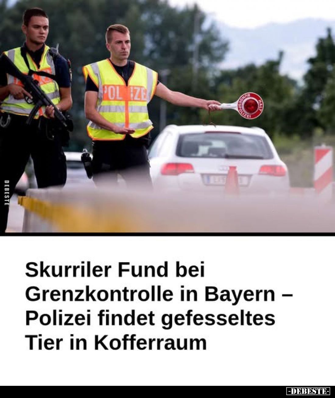 Skurriler Fund bei Grenzkontrolle in Bayern - Polizei findet gefesseltes Tier in Kofferraum