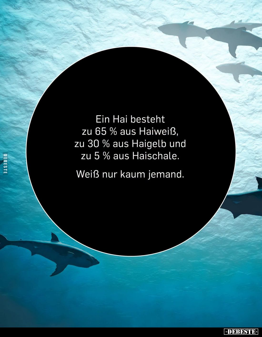Ein Hai besteht zu 65% aus Haiweiß, zu 30% aus Haigelb und zu 5% aus Haischale.
Weiß nur kaum jemand.