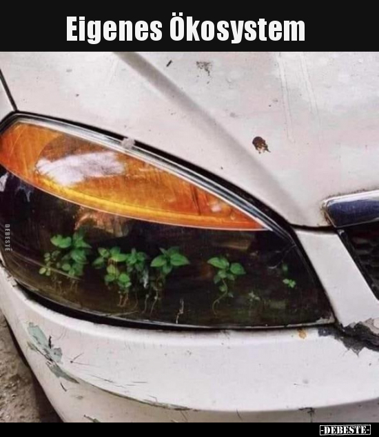 Eigenes Ökosystem.. - Lustige Bilder | DEBESTE.de