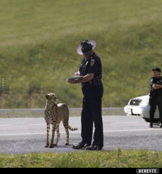  - Lustige Bilder | DEBESTE.de