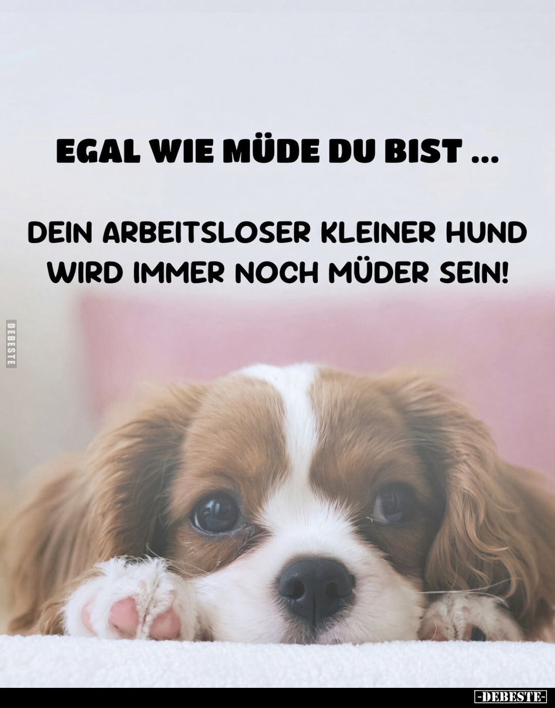 Egal wie müde du bist ...
dein arbeitsloser kleiner Hund wird immer noch müder sein!