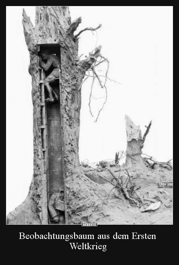 Beobachtungsbaum aus dem Ersten Weltkrieg..
