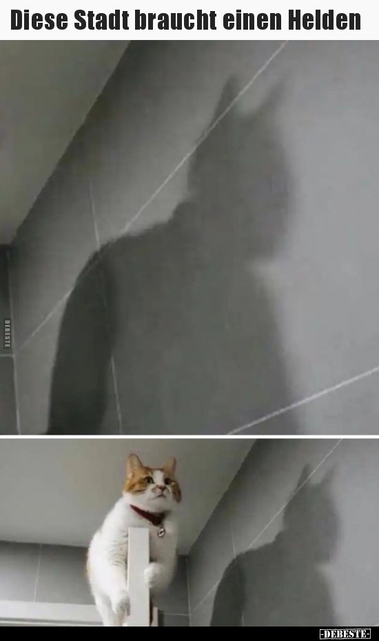 Diese Stadt braucht einen Helden..