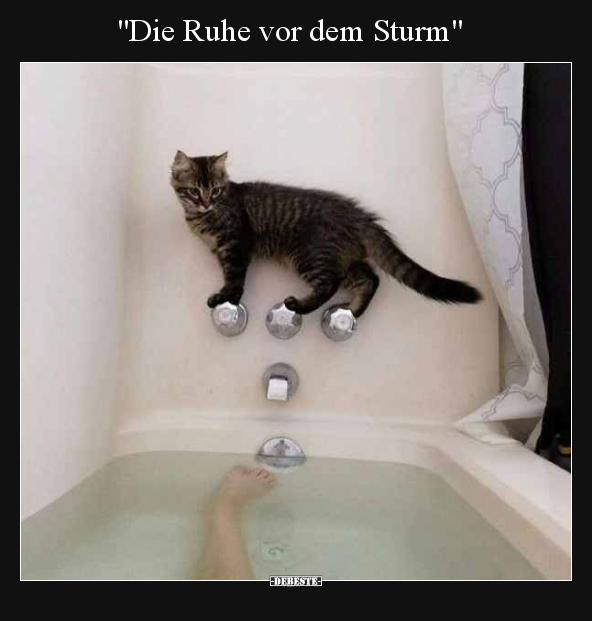 "Die Ruhe vor dem Sturm".. - Lustige Bilder | DEBESTE.de