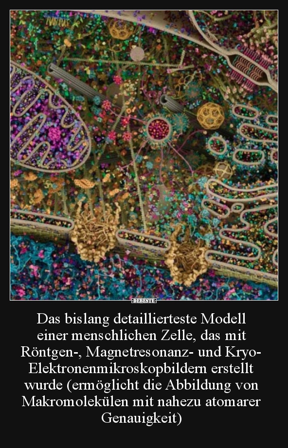 Das bislang detaillierteste Modell einer menschlichen.. - Lustige Bilder | DEBESTE.de