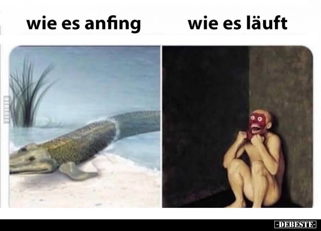 Wie es anfing. -
Wie es läuft.