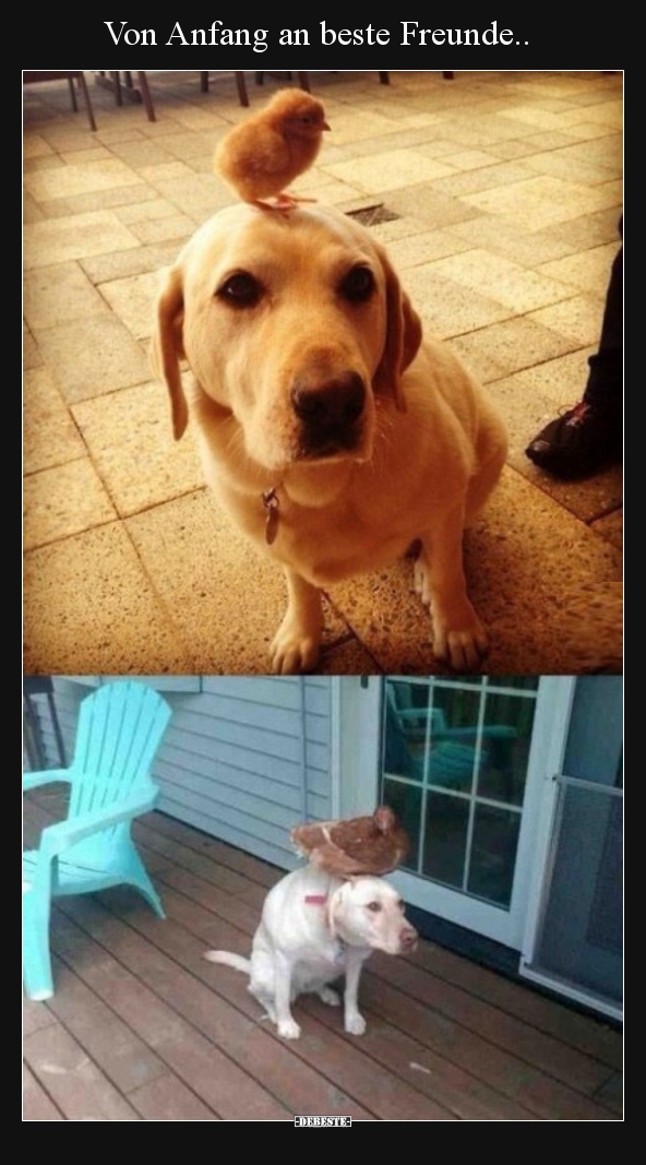Von Anfang an beste Freunde..