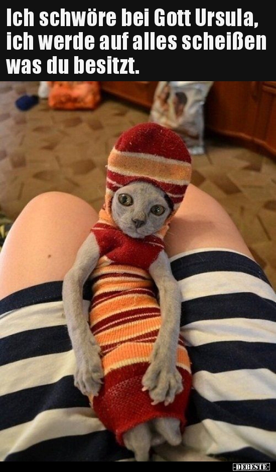 Ich schwöre bei Gott Ursula, ich werde auf alles scheißen..