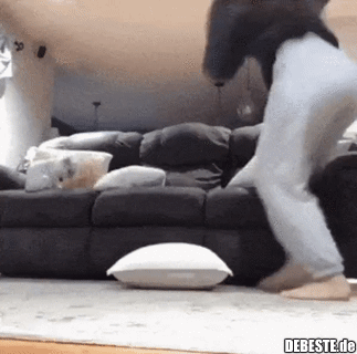 Wie Katzen reagieren, wenn wir in Not sind..