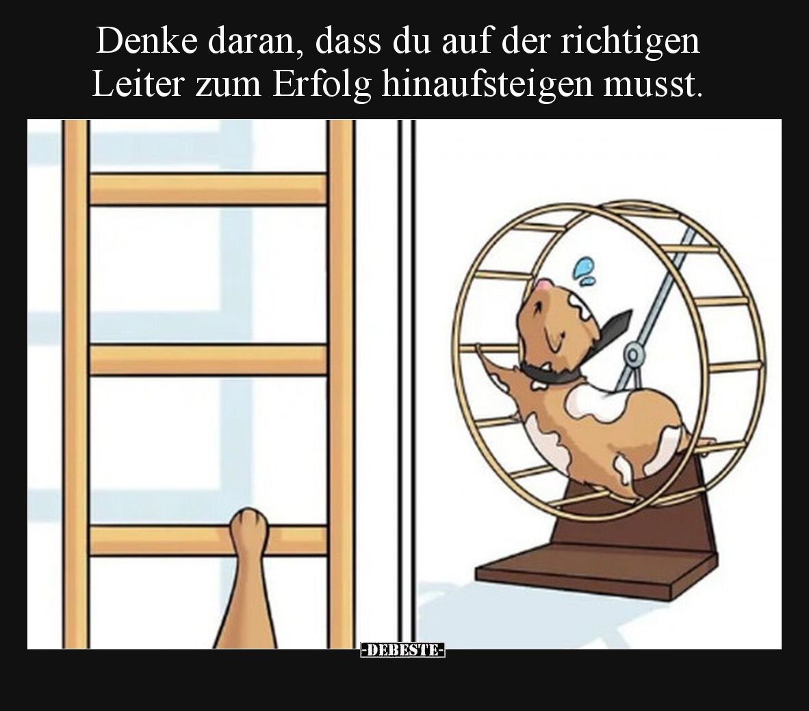 Denke daran, dass du auf der richtigen Leiter zum Erfolg hinaufsteigen musst.