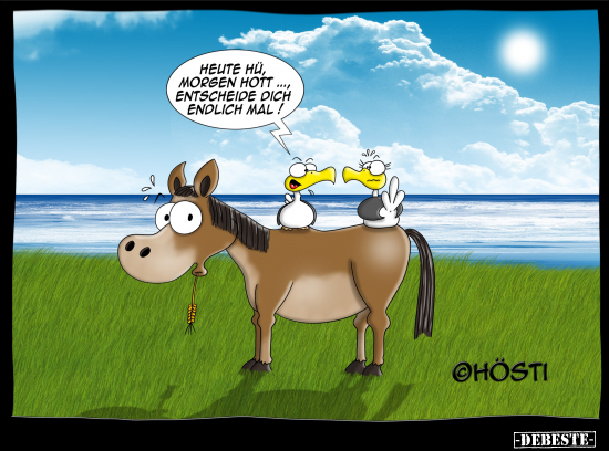 Heute hü, morgen hott... entscheide dich endlich mal!