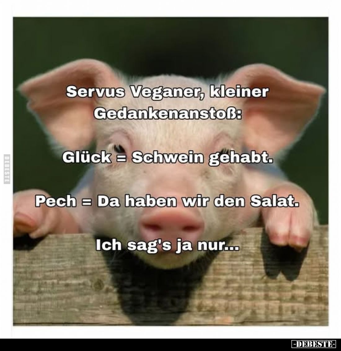 Servus Veganer, kleiner Gedankenanstoß:
Glück = Schwein gehabt.
Pech = Da haben wir den Salat.
Ich sag's ja nur...