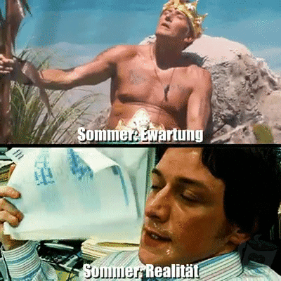 Sommer: Ewartung vs. Realität..