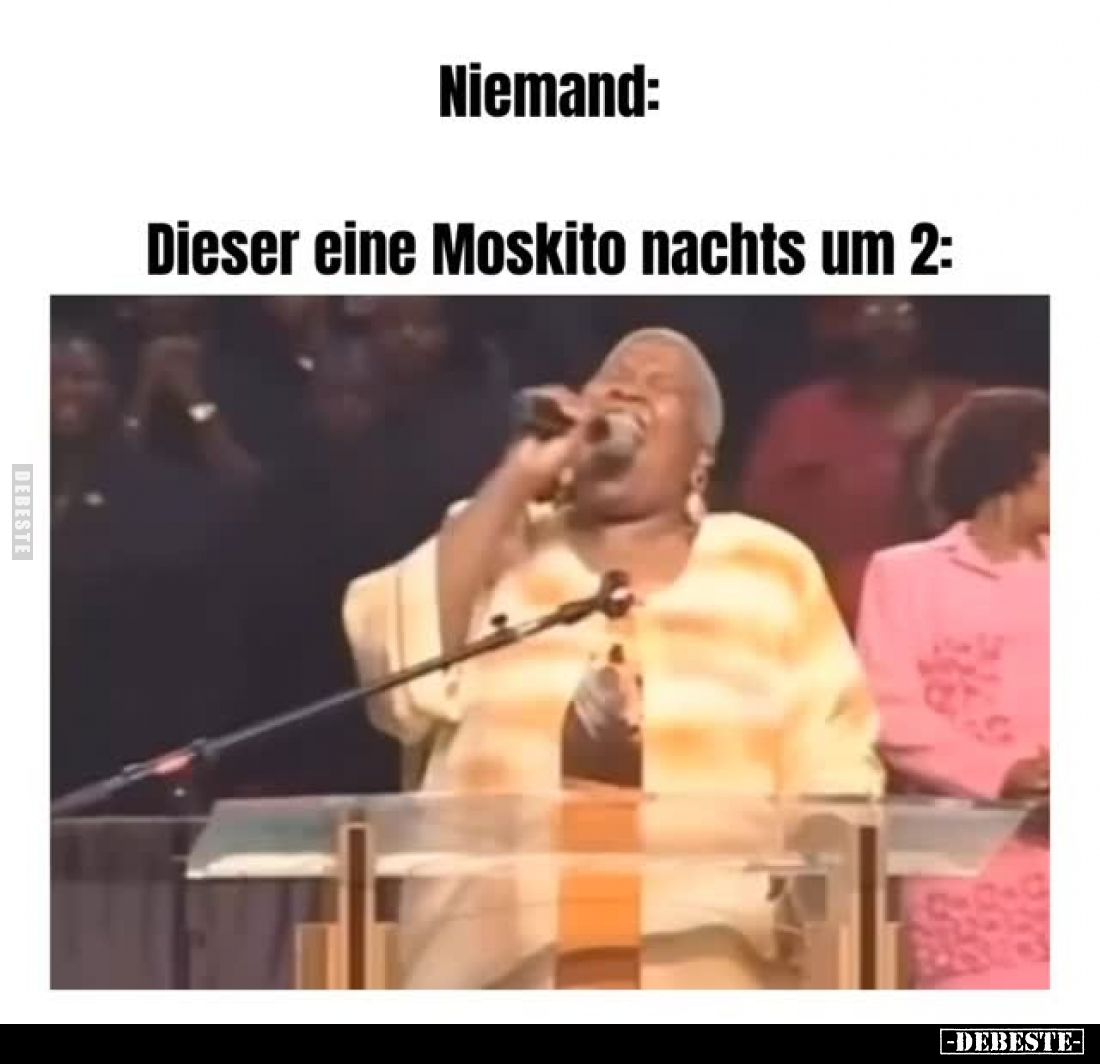 Dieser eine Moskito nachts um 2: