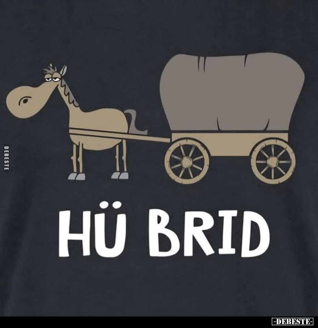 HÜ BRID