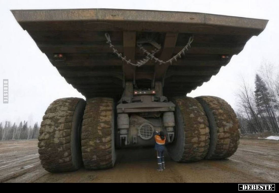  - Lustige Bilder | DEBESTE.de