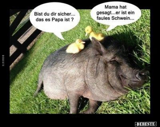 Papa, Mama, Schwein