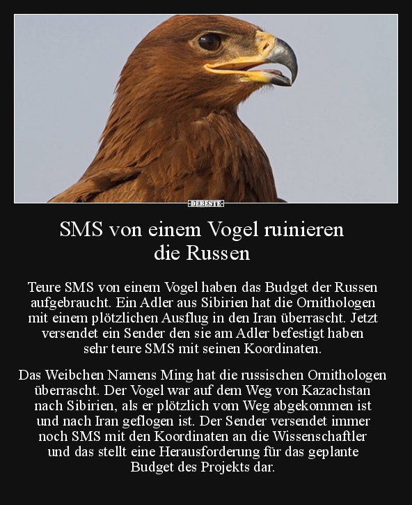 SMS von einem Vogel ruinieren die Russen... - Lustige Bilder | DEBESTE.de