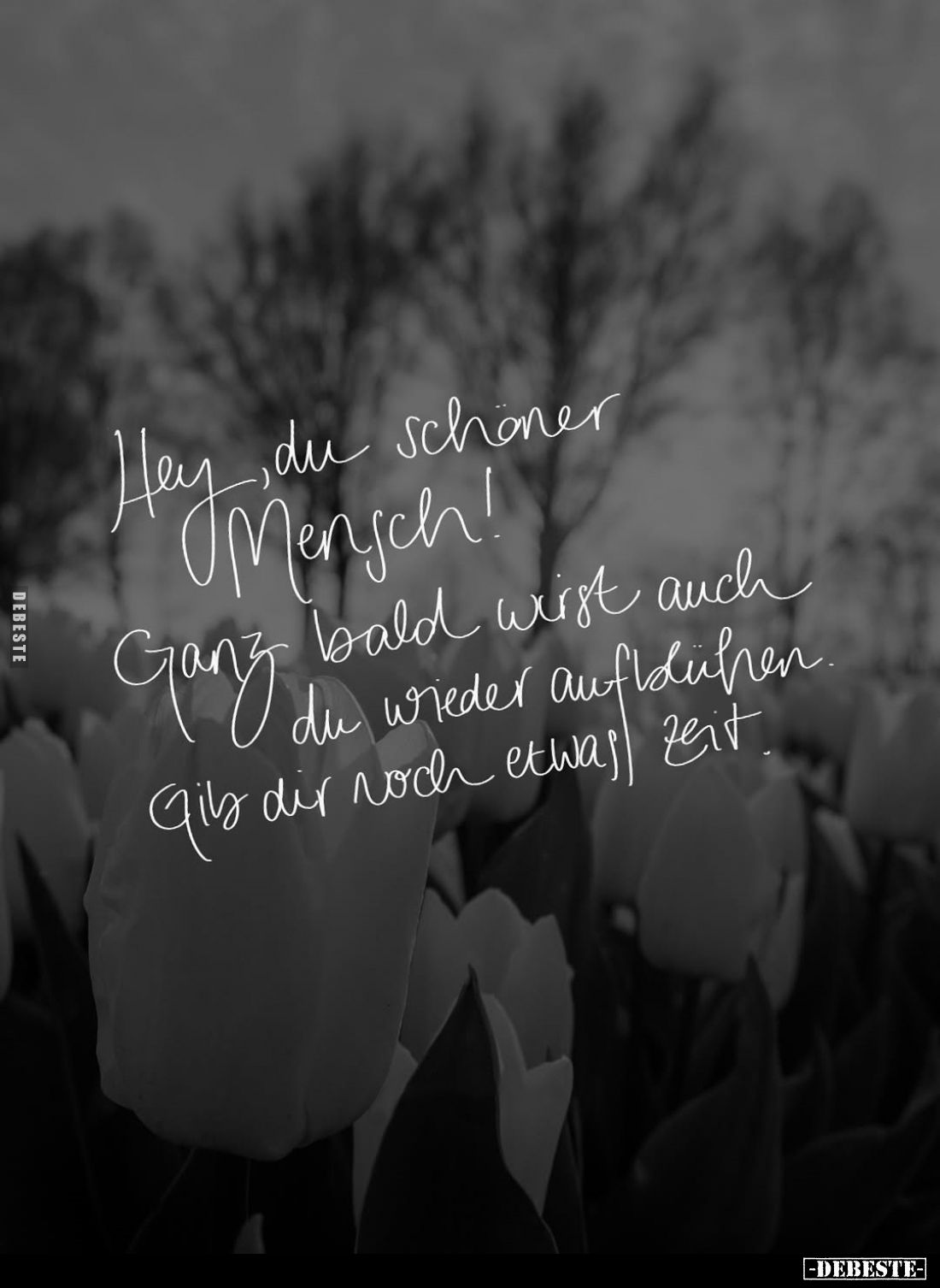 Hey, du schöner Mensch!.. - Lustige Bilder | DEBESTE.de