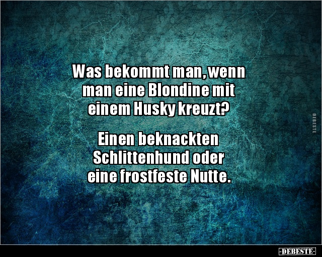 Was bekommt man, wenn man eine Blondine mit einem Husky.. - Lustige Bilder | DEBESTE.de