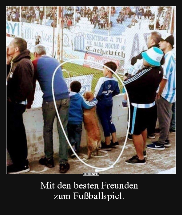 Mit den besten Freunden zum Fußballspiel... - Lustige Bilder | DEBESTE.de