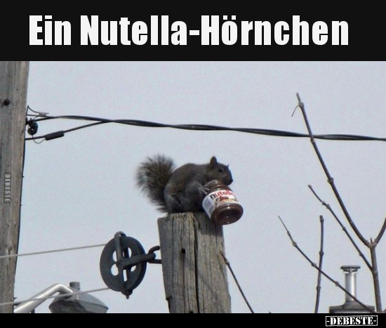 Ein Nutella-Hörnchen.. - Lustige Bilder | DEBESTE.de