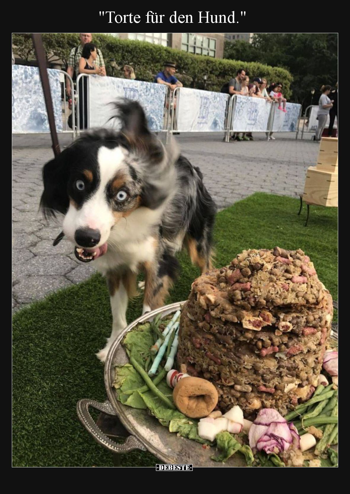 "Torte für den Hund.".. - Lustige Bilder | DEBESTE.de