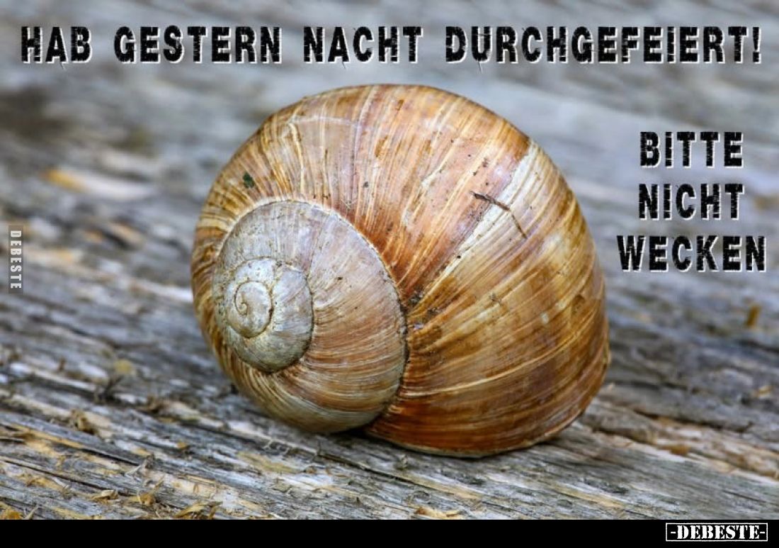 Hab gestern Nacht durch gefeiert!
Bitte nicht wecken.